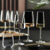 Ly pha lê RCR Essential W.Stemless 420ml (274345-1) - Ảnh 3